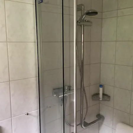 Апартаменты 4 1/2 Zi Whg In Saas Gr Saas im Prattigau